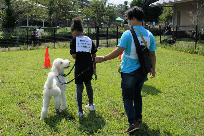 ほごいぬふれあい会